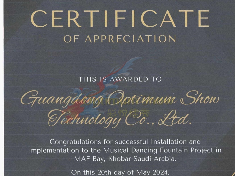 Certificate of appreciation for project