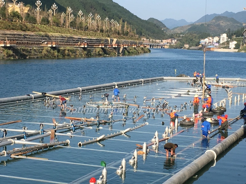 China Guizhou Water Screen Fountain Show
